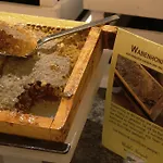 Hotel Ringhotel Niedersachsen 4*